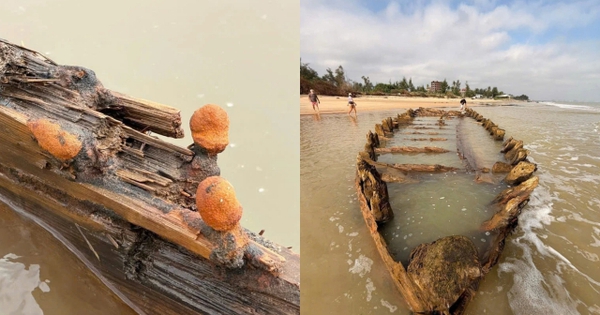 Vật lạ dài được xem như "báu vật độc nhất vô nhị" từng bị vùi lấp bỗng xuất hiện rõ mồn một, đề xuất khai quật khẩn cấp