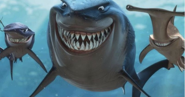 SGI Capital: Margin cao, áp lực tỷ giá và nền định giá không rẻ là những rủi ro tiềm ẩn