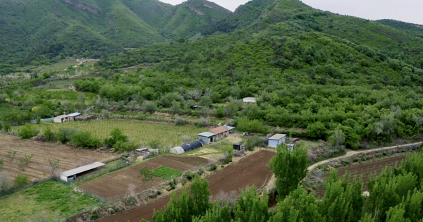 Cặp đôi U50 bỏ phố lên núi, thuê 20.000m² đất hoang để nghỉ hưu, sống “tự cung tự cấp”, sau 8 năm phải thừa nhận: “Vất vả chứ không lãng mạn như trên phim”