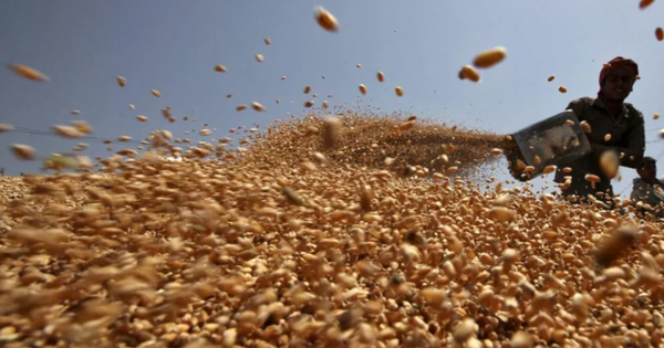 Ukraine vừa đưa hàng trăm nghìn tấn hàng quan trọng về Việt Nam chỉ trong 1 tháng: Nước ta tiêu thụ đứng top thế giới, thuế nhập khẩu 0%