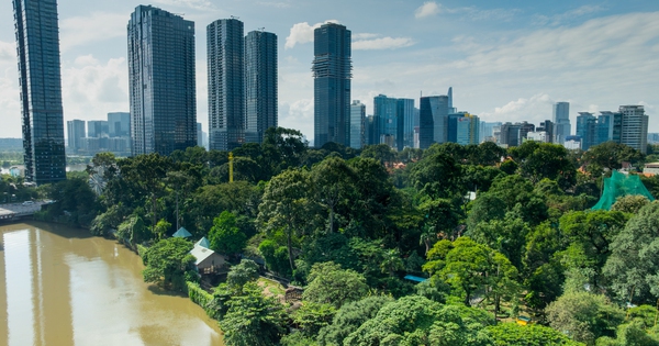 Hành trình từ nợ thuế hơn 800 tỷ đến có lãi của doanh nghiệp sở hữu 17 ha đất vàng giữa phường Sài Gòn