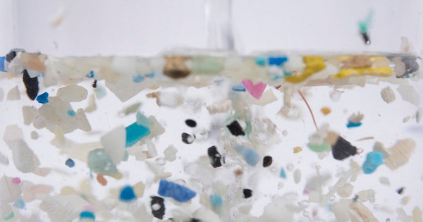 2 loại nước chứa đầy hạt vi nhựa nhưng người Việt lại thích, đa số uống mỗi ngày