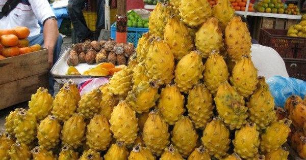 Việt Nam sở hữu 'siêu trái cây' khiến người Trung Quốc siêu mê: xuất khẩu số 1 thế giới, diện tích trồng hơn 55.000 ha