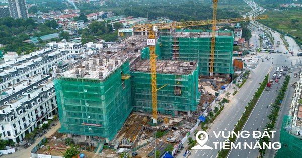 Cảnh trái ngược tại dự án của FLC: Nơi vượt tiến độ gần một năm, nơi bỏ hoang cho cỏ mọc