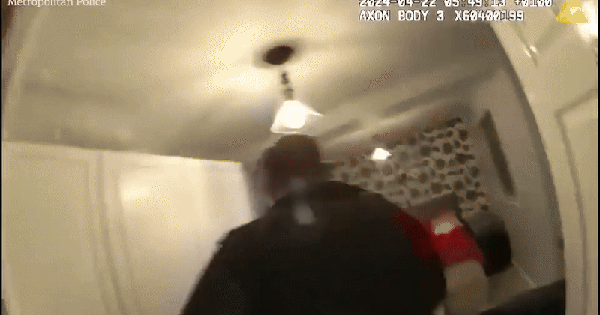 'Nữ hoàng bitcoin' Trung Quốc mơ 'trị vì Liberland' sa lưới: Hai lần cảnh sát ập vào đều nằm trên giường