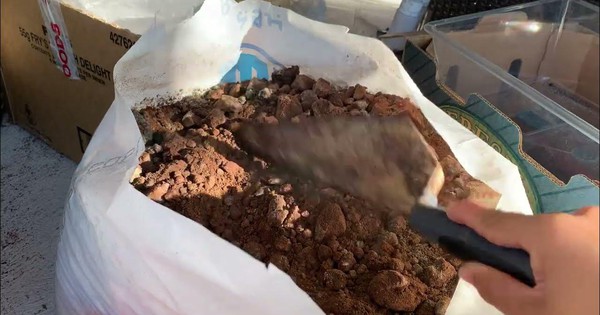 Loại bã đồ uống ai cũng bỏ đi lại là "bảo bối" của chuyên gia: Đặt 1 nắm vào góc nhà sẽ thấy thay đổi ngay