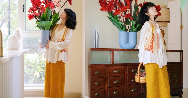 Hoa dong riềng bỗng hot: Loài hoa tưởng bị "ra rìa" nay gây sốt vì đẹp sang bất ngờ, nở rực ba mùa trong năm, trồng phát lên luôn