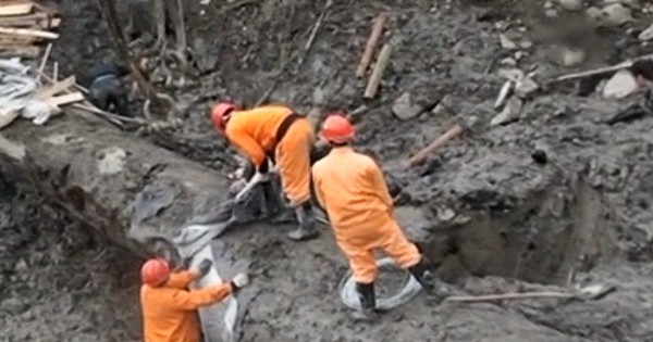 Người đàn ông đào được khúc gỗ đen sì tỏa ra mùi thơm, dài hơn 30m, nặng 60.000 kg: Cảnh sát lập tức phong tỏa hiện trường