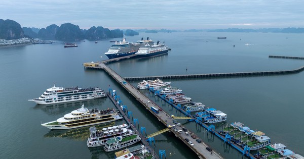 Khung cảnh ở Hạ Long ngay lúc này khiến nhiều người tò mò, nhận xét: "Ở đây đang thực sự có gì?"