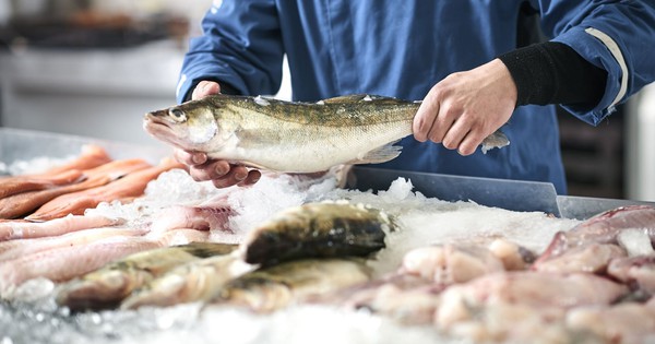 Top 5 loại cá "ngậm" nhiều thủy ngân nhất: Thích đến mấy cũng phải cẩn trọng