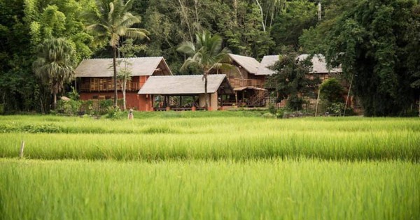 Bán chung cư 6,5 tỷ giữa Hà Nội để về miền Trung “sống chậm”, một năm sau, đôi vợ chồng trẻ nhận ra: Bình yên chưa thấy, hối hận đã tràn ngập