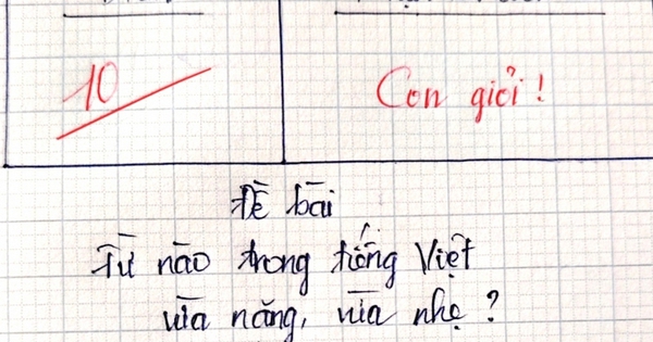 Từ nào trong Tiếng Việt vừa nặng, vừa nhẹ? - Trả lời đúng, bạn lọt top 1% người thông minh nhất!