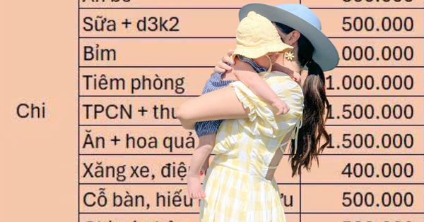Lương hơn 10 triệu nuôi 1 con nhỏ, bảng chi tiêu tiết lộ điều đáng buồn