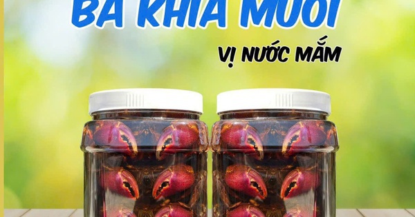 Ba khía muối nước mắm ngon ở Cà Mau có giá đến 250.000 đồng/kg