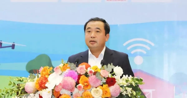 Thiên tai khiến gần 300 người thiệt mạng, tổn thất kinh tế nghiêm trọng