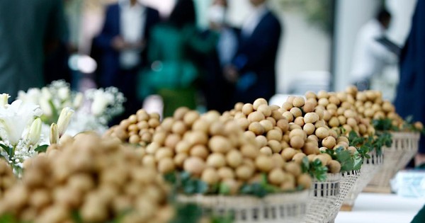 Đặc sản triệu đô của Việt Nam được Trung Quốc siêu mê, mệnh danh là 'vương giả chi quả', diện tích trồng hơn 68.000 ha