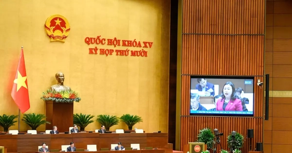 Quốc hội dành cả ngày thảo luận về các chính sách liên quan đến lĩnh vực giáo dục