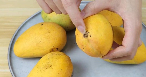 4 dấu hiệu nhận biết xoài chín ngọt tự nhiên, thịt dày, hạt lép