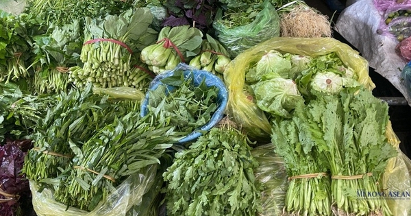 7 loại rau tươi ngon, dễ mua với giá rẻ quanh năm