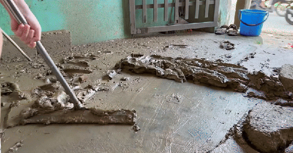 Nhà sao Vbiz ngập bùn đất sau lũ: Cả gia đình tất bật dọn dẹp, thiệt hại 2 xe máy