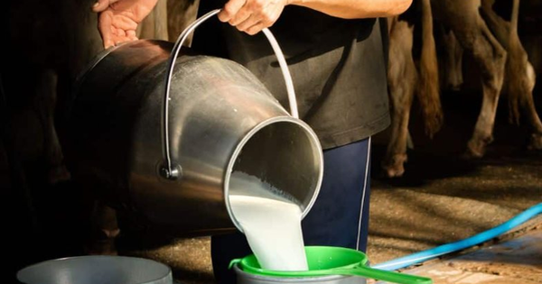 Đột kích vào nhà dân, cảnh sát triệt phá đường dây sữa giả chỉ hoạt động vào đêm và sáng sớm, tịch thu 400 lít sữa pha chế từ hóa chất