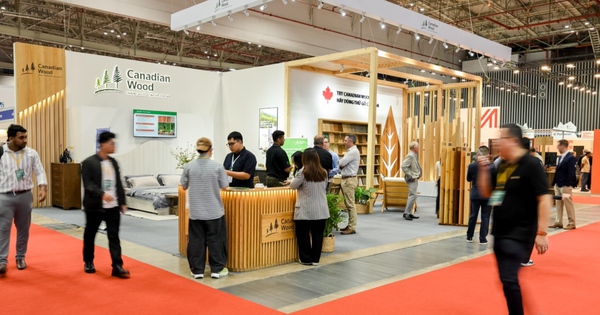 Canadian Wood Việt Nam giới thiệu giải pháp gỗ mềm bền vững tại triển lãm VietnamWood 2025