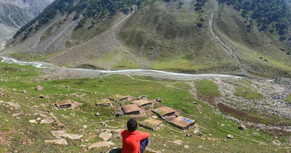 Nghề "hái ra tiền" không cần bằng cấp, làm một tháng đủ tiêu cả năm