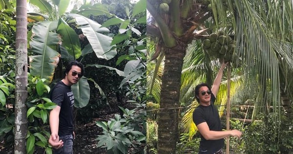 Tình thế đáng lo của nam tài tử Việt vỡ nợ 20 tỷ đồng