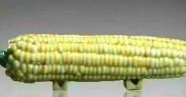 Mang "quả ngô" đi thẩm định cổ vật bị chuyên gia phán  là đồ giả, cụ ông cười khẩy nói: "Có biết tôi là ai không?"