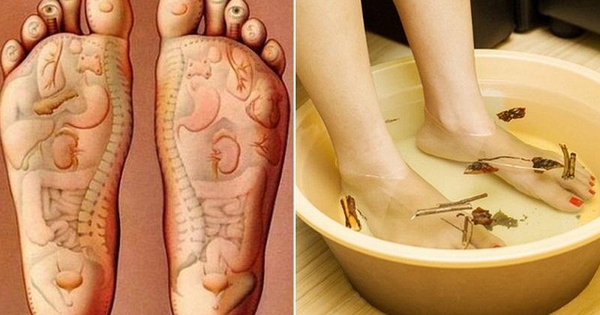 Trời lạnh, nếu muốn ngủ ngon thì đây chính là việc bạn nên làm mỗi tối, người trung niên càng chăm làm thì khí huyết càng lưu thông