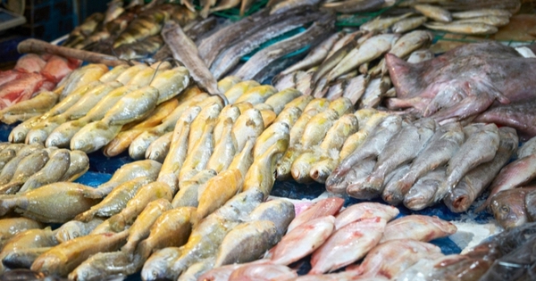 4 loại cá ăn nhiều "phá gan", ngon bổ mấy cũng hạn chế