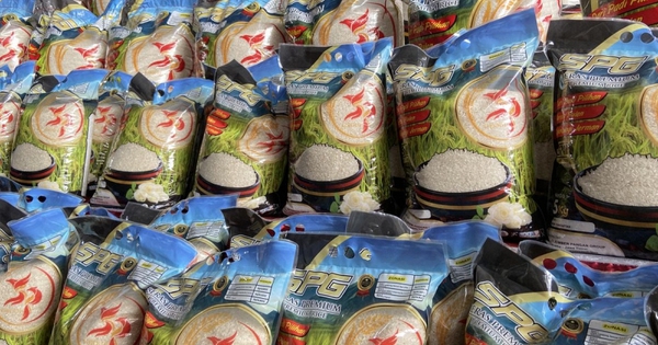 Đột kích xưởng sản xuất 14 tấn gạo giả mỗi ngày suốt 2 năm: Hãi hùng chiêu 1kg gạo tốt pha 10kg gạo nhái, tổng thiệt hại tới 155.000 tỷ