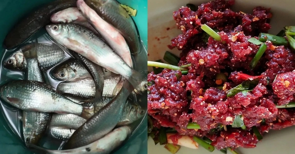 2 loại cá làm tăng nguy cơ mắc ung thư: Là món ‘khoái khẩu’ của nhiều người