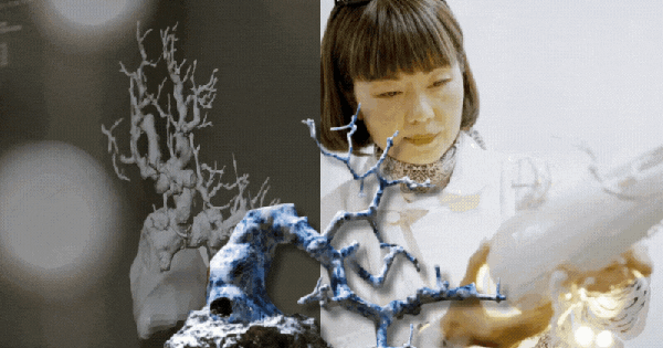 Người phụ nữ U50 bỏ việc lương cao về "chơi cây" với bố ung thư: Biến nghề bonsai ít ai biết thành sứ mệnh đời mình