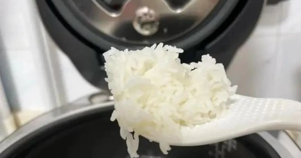 Có nên để nồi cơm điện luôn cắm điện ở chế độ giữ ấm?