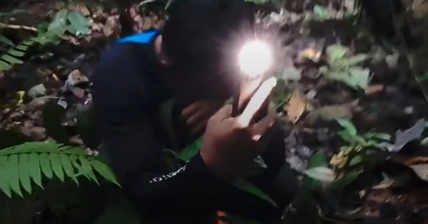 Phát hiện loài quý hiếm nhất hành tinh, tưởng như đã hoàn toàn tuyệt chủng: Nhiều người bật khóc tại chỗ