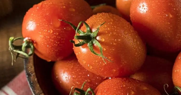 Người đàn ông 49 tuổi ăn cà chua mỗi ngày, sau 1 năm kết quả khiến bác sĩ cũng phải bất ngờ