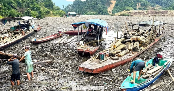 Cận cảnh rác gỗ "khổng lồ" bủa vây hồ thủy điện lớn thứ 2 tỉnh Nghệ An