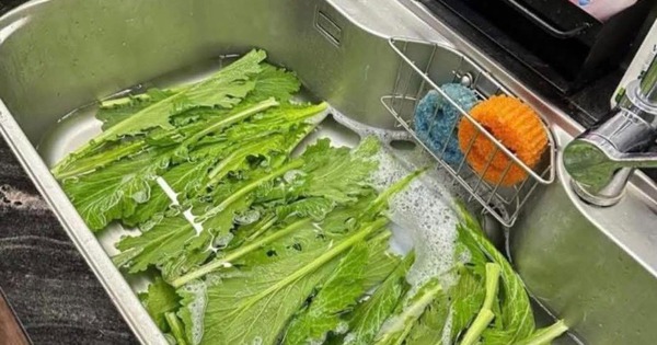 Bức ảnh khiến cả vạn người khẩu chiến