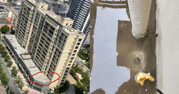 Mua căn hộ tầng hai có sân thượng tưởng trúng số, nhưng khi chuyển đến tôi mới biết đó là khởi đầu của chuỗi ngày “ác mộng”