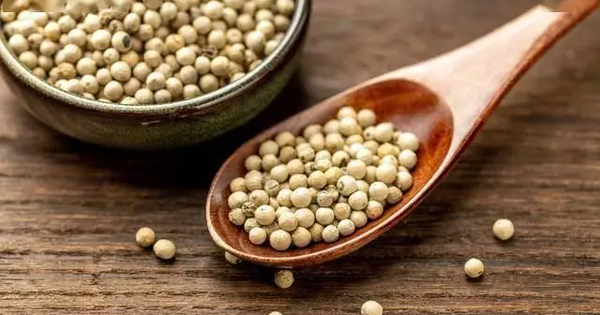 Loại gia vị quan trọng bậc nhất thế giới từng được dùng như tiền tệ, là "báu vật" của đảo ngọc, bổ ngang sâm quý