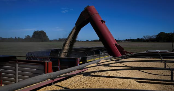 Trung Quốc tạm dừng mức thuế 24%, đậu tương của Mỹ vẫn đánh mất lợi thế vào tay một ông trùm nông sản: Là nhà cung cấp lớn nhất của Việt Nam nhiều năm qua