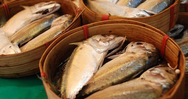 3 phần nhiều kim loại nặng nhất trên thịt cá