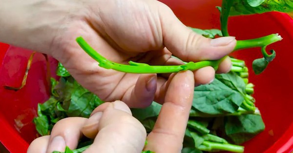 1 món rau “nhớt như dầu” nhưng người Nhật lại thích vì giúp trẻ lâu và ngừa ung thư, ở Việt Nam chợ nào cũng có