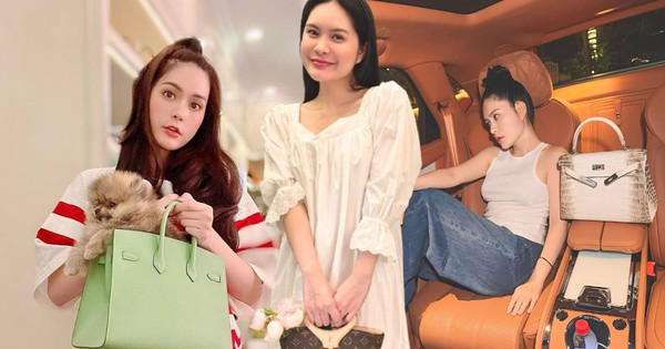 BST túi hàng hiệu của Đoàn Di Băng: Hermès đựng cún cưng, Dior và Chanel để đi chợ