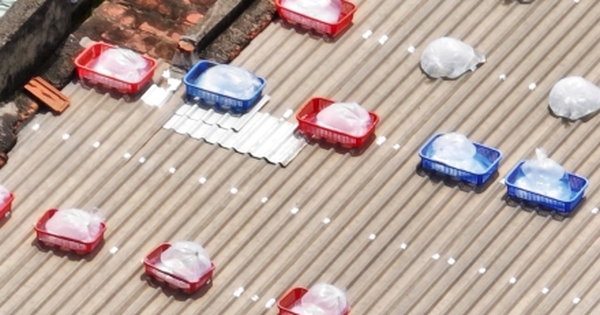 Muôn cách bảo vệ tài sản của người dân Gia Lai, Đắk Lắk trước bão Kalmaegi