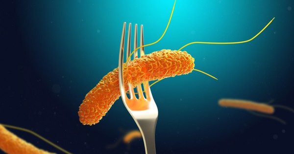 5 loại vi khuẩn đáng sợ trên đôi tay: Top 1 là thủ phạm gây ra hơn 90 triệu ca ngộ độc mỗi năm