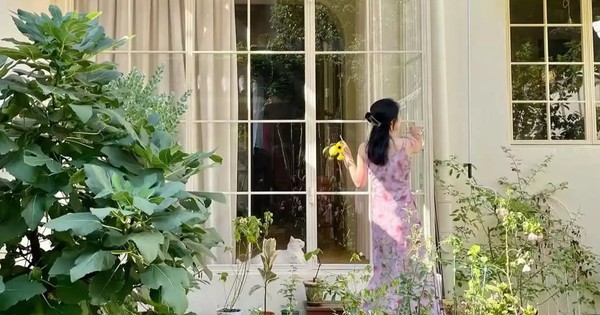 36 tuổi vẫn không kết hôn, người phụ nữ cải tạo đống đổ nát thành nhà đẹp như mộng: "Vậy là đủ bình yên rồi"