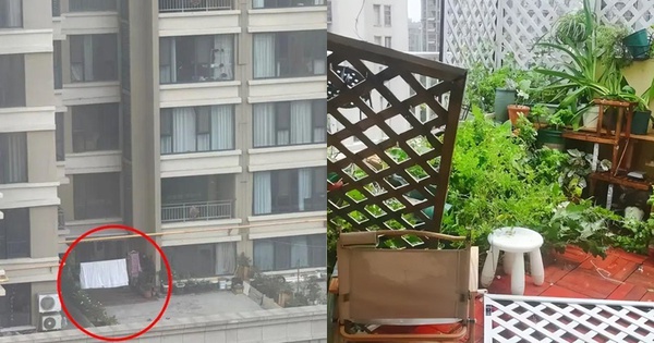 Mua nhà có sân thượng, tôi tưởng sẽ sống như quý cô - ai ngờ chỉ toàn dọn dẹp, tưới cây và lau bụi