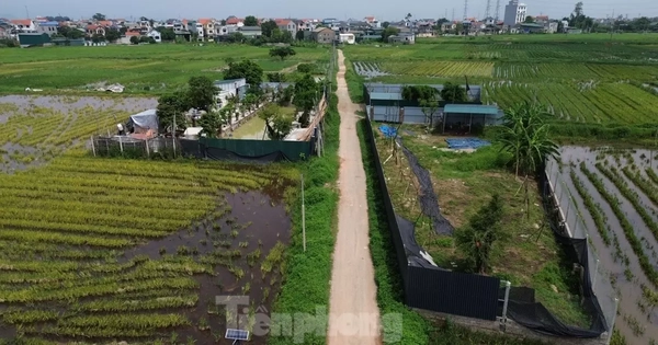 Gỡ vướng mắc chuyển mục đích sử dụng đất ở